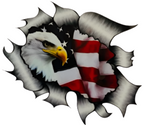 5' x 5' Stick-On Auto Decal mit Eagle und American Flag - Patriotisches Auto-Zubehör